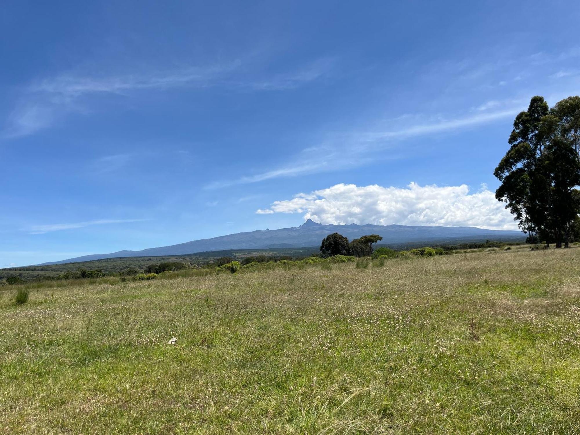 Rafiki House Hotel Nanyuki Ngoại thất bức ảnh